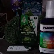 Eternity Grow Cup Sticky Broccoli🥦