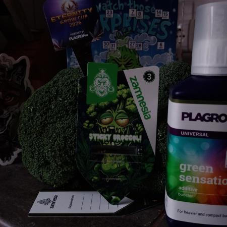 Eternity Grow Cup Sticky Broccoli🥦