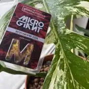 🦖Microgiant Auto-Microgenetica