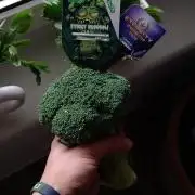 Eternity Grow Cup Sticky Broccoli🥦