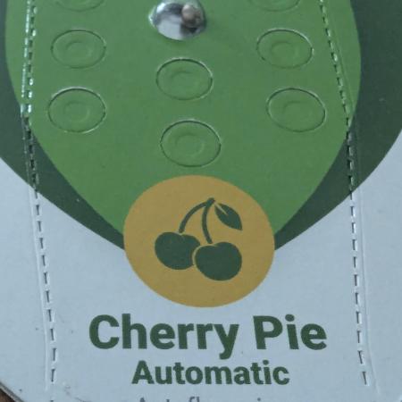 🍒Cherry 🥧Pie auto * RQS🦁