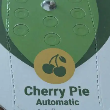 🍒Cherry 🥧Pie auto * RQS🦁