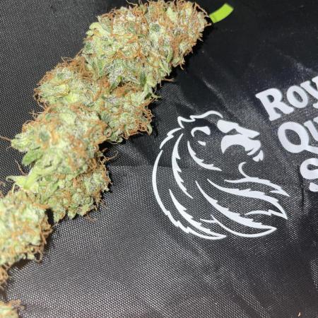 🛸Milky Way F1 RQS🦁
