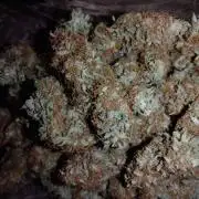 🛸Milky Way F1 RQS🦁