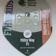 🛸Milky Way F1 RQS🦁