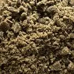 Divine Seeds Auto Black Opium #2