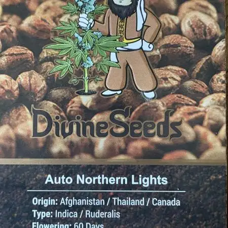 Divine Seeds Auto Northern Light