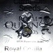 👑🦍Royal Gorilla Auto RQS🦁