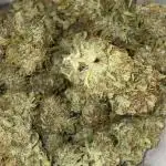 Divine Seeds Auto Black Opium