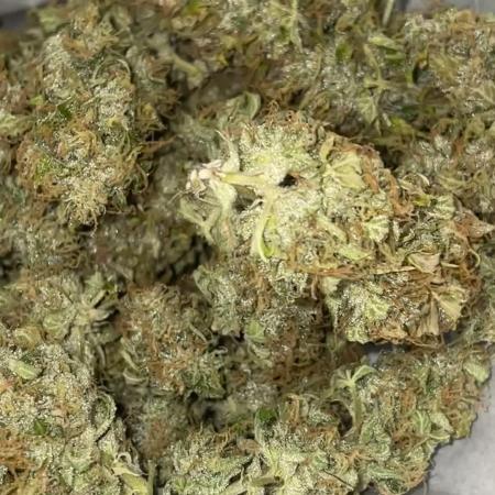 Divine Seeds Auto Black Opium