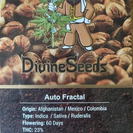 Divine Seeds Auto Fractal