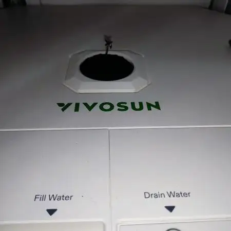 Pineapple slush XL Auto