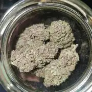Banana Purpel Punch Fast Buds