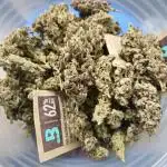 Purpel Haze Auto