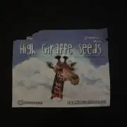 Dr. Grinspoon - High Giraffe Seeds