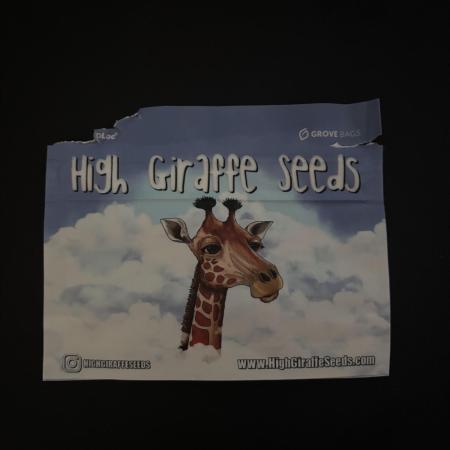 Dr. Grinspoon - High Giraffe Seeds