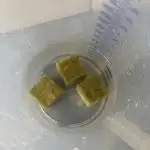 2x Fat Banana Auto in DWC