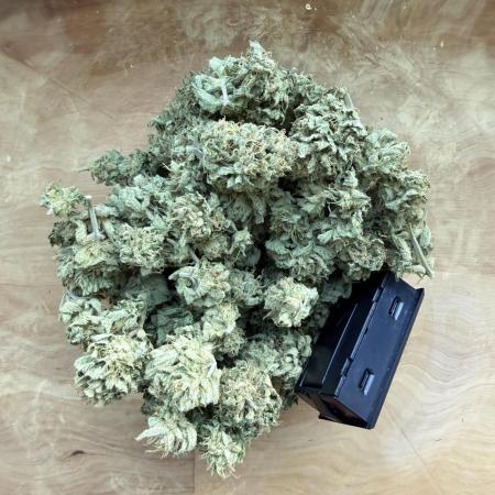 Jelly Donutz Balcony