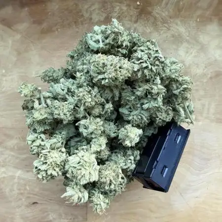 Jelly Donutz Balcony