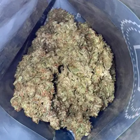 Apple Strudel (AUTO) Outdoor