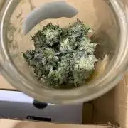 Coco-Mambo42 HUGE