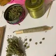 SweetSeeds x Simplex giwevay in Outdoor