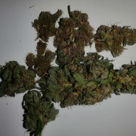 CBD + BLACKBERRY