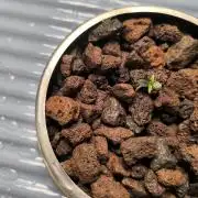 Outdoor Skyblood  in DWC