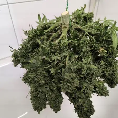 3Autos