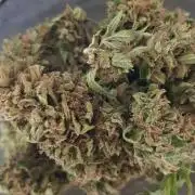 Ganja Farmer Outdoor die 1.