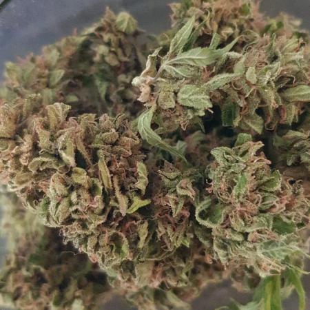 Ganja Farmer Outdoor die 1.