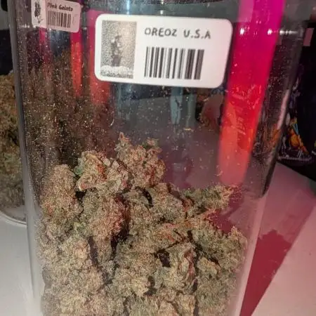 Oreoz U.S.A