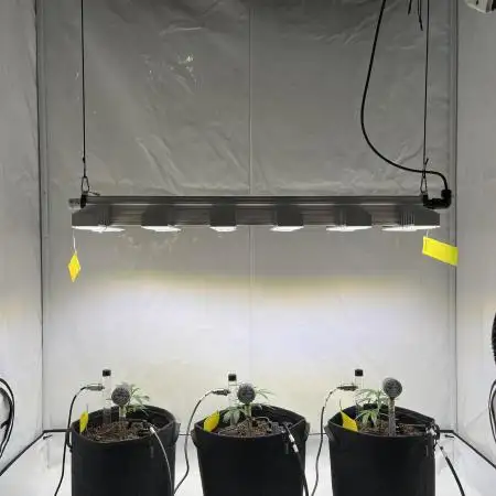 Moisture Matters - Overview