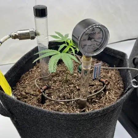 Moisture Matters - Bio Hanferde