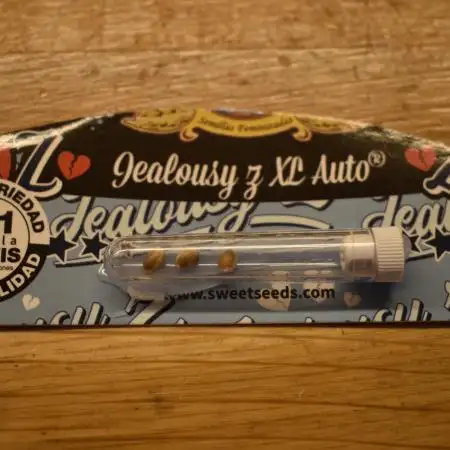 Jealousy Z Auto