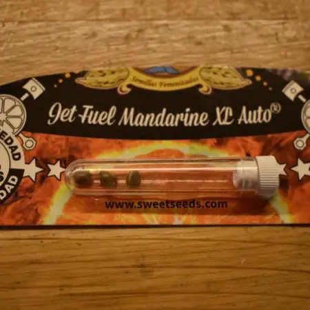 Jet Fuel Mandarine Auto
