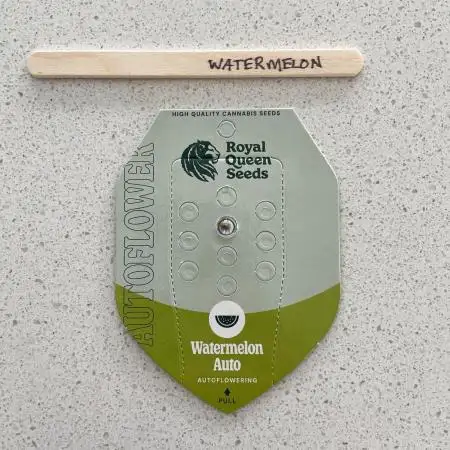 Solitary Watermelon Auto