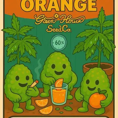 Lemon Orange (Green House Seeds)