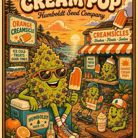 Orange Creampop (Humboldt Seeds Company)
