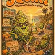 Squirt (Humboldt Seeds Company)