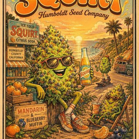 Squirt (Humboldt Seeds Company)