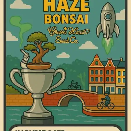 Super Silver Haze Auto Bonsai