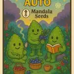 Sageberry Auto (Mandala Seeds) - Soil