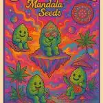 8 Miles High - Mandala Seeds