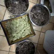 Cherry Cola Auto RF3 &LemonCherryCookies