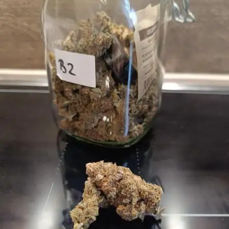 Blue Zushi + OG#18 [GER]🇩🇪