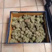 Cherry Cola Auto RF3 &LemonCherryCookies