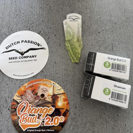 Orange Bud 2.0