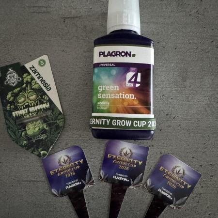 Eternity Grow Cup 2026 Sticky Broccoli