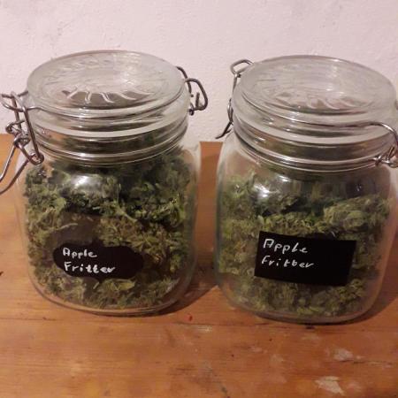 Apple Fritter Auto